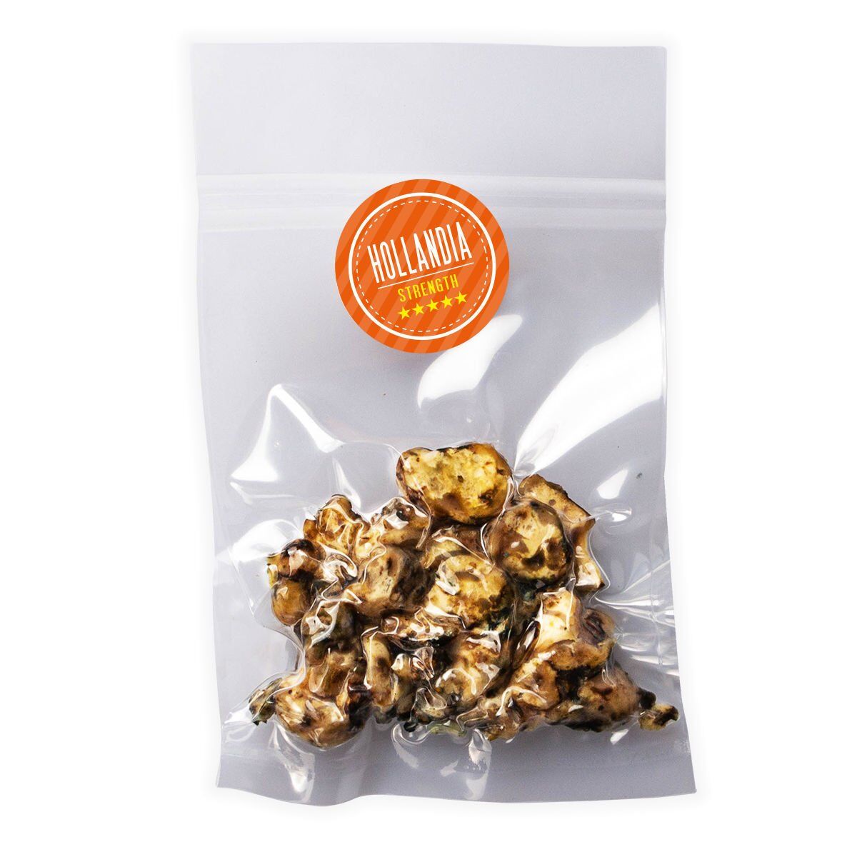 Hollandia Magic Truffles - Magic Mushroom store